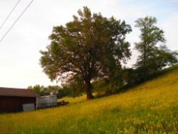 2013-06-08_Radtour_Iffeldorf-Aiderbichl (237).JPG